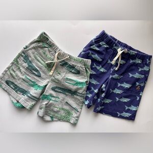 GAP boy’s Animal Print Cotton Shorts 6T